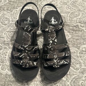 Corkys black and white buckle candles